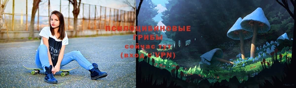 стаф Кукмор
