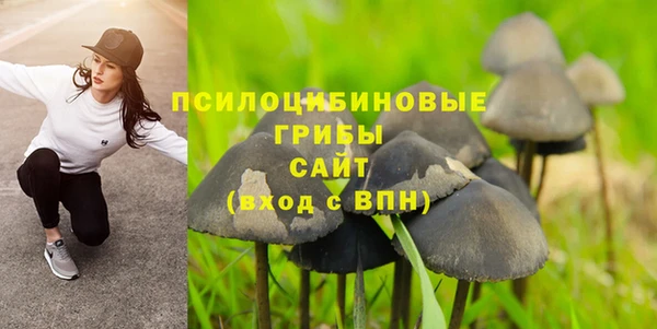 стаф Кукмор