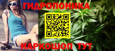 spice Можга