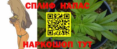 spice Можга