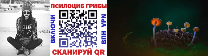 наркошоп  Арзамас  Галлюциногенные грибы Psilocybine cubensis 