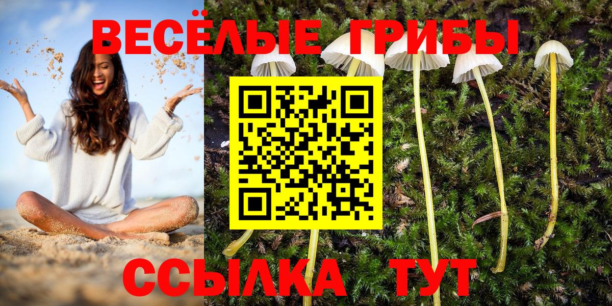 Галлюциногенные грибы MAGIC MUSHROOMS Арзамас
